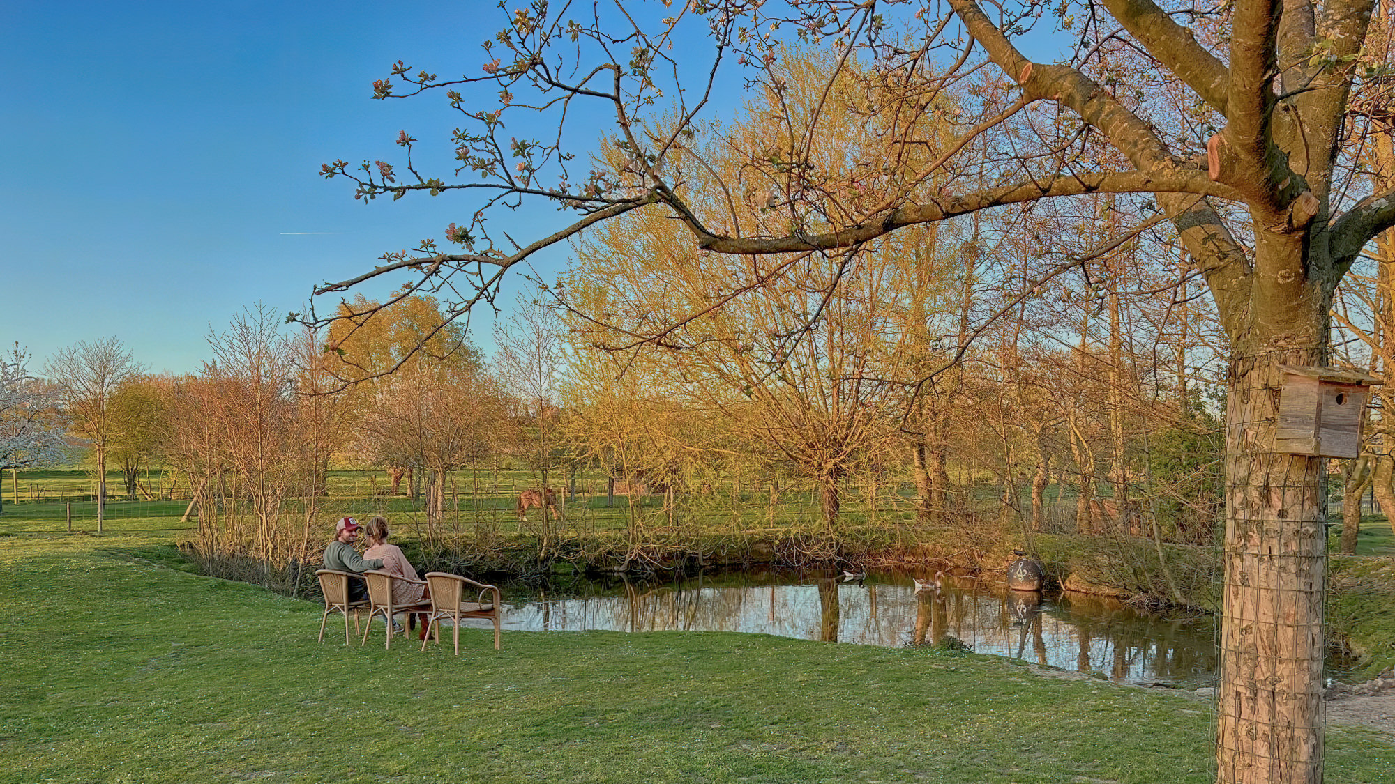 Deux personnes sont assises sur un banc devant le jardin de l'étang de la maison de vacances Grijzegraaf