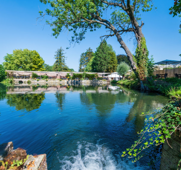 A large pond