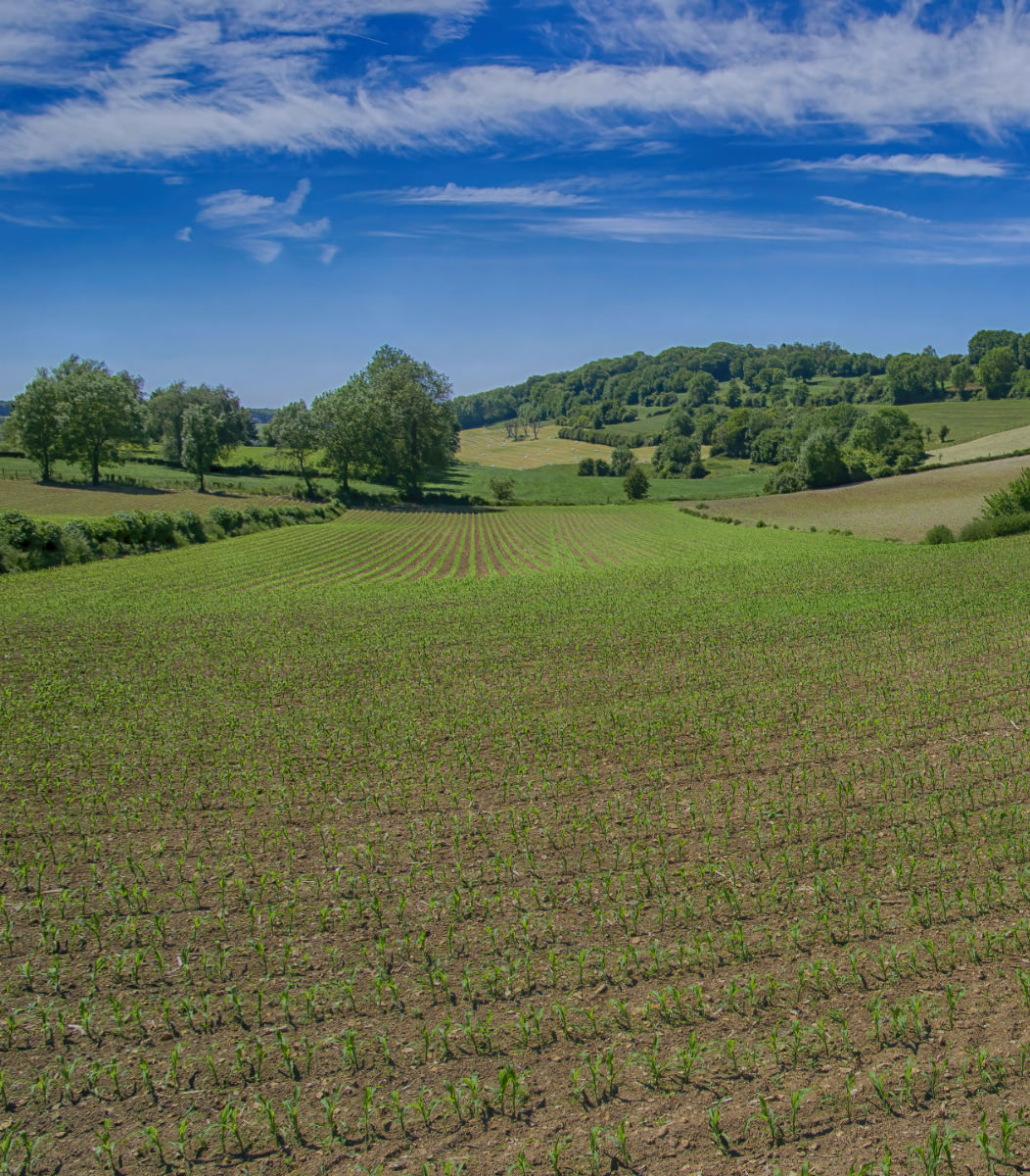Panorama bei Ferme de l’Etang