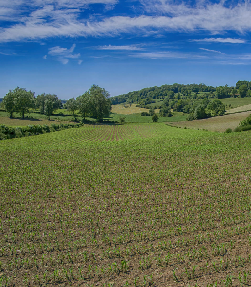 Panorama iets dichterbij Ferme de l’Etang