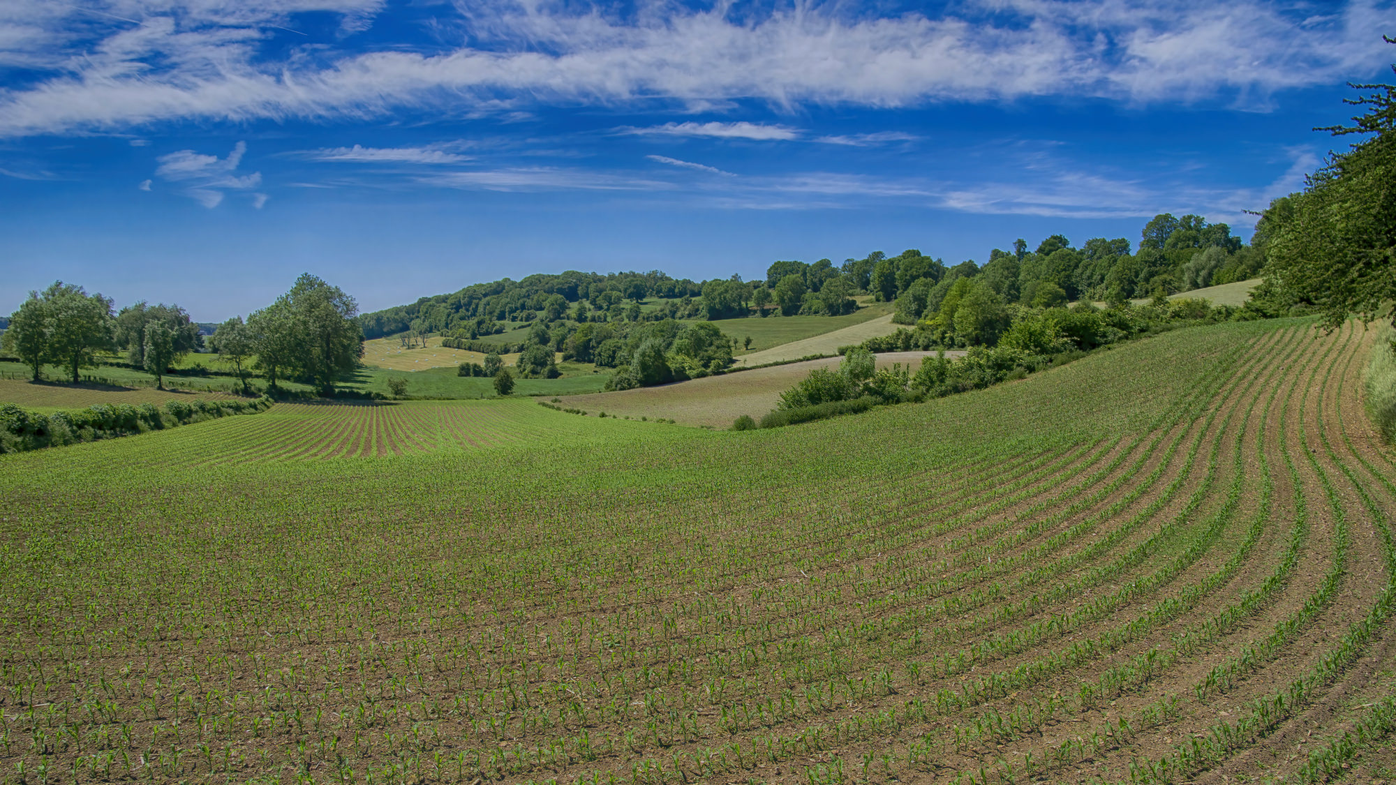 Beautiful hilly landscape with many trees and meadows at Ferme de l'Etang