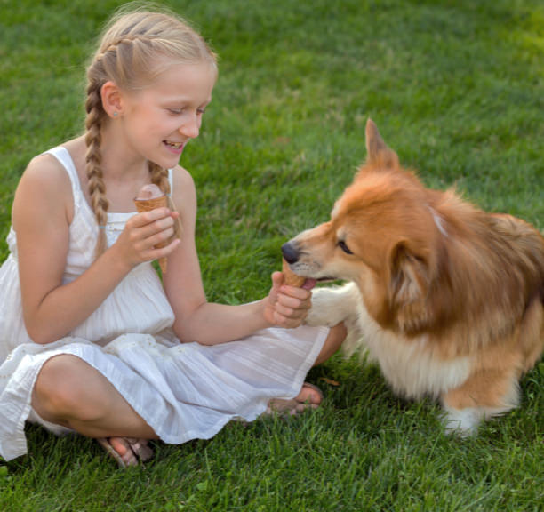 Meisje met hond eten IJsjes