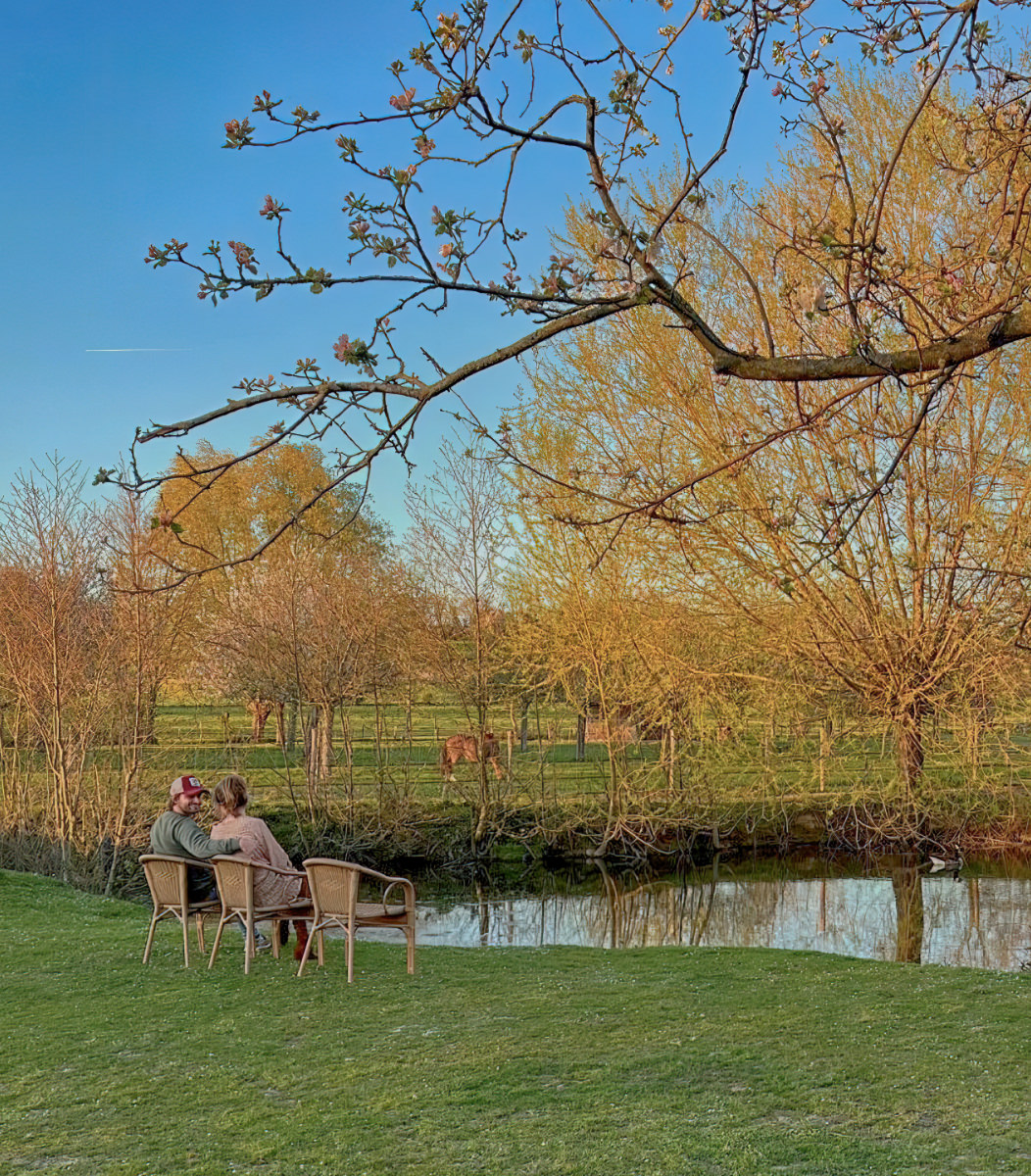 De tuin van Vakantiehuis Grijzegraaf