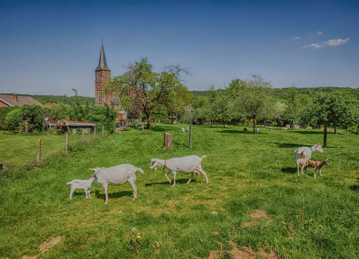 Vue totale Hoeve Mostert à Teuven Belgique