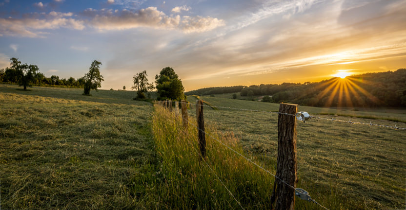 Uitzicht naast Landgoed Altenbroek