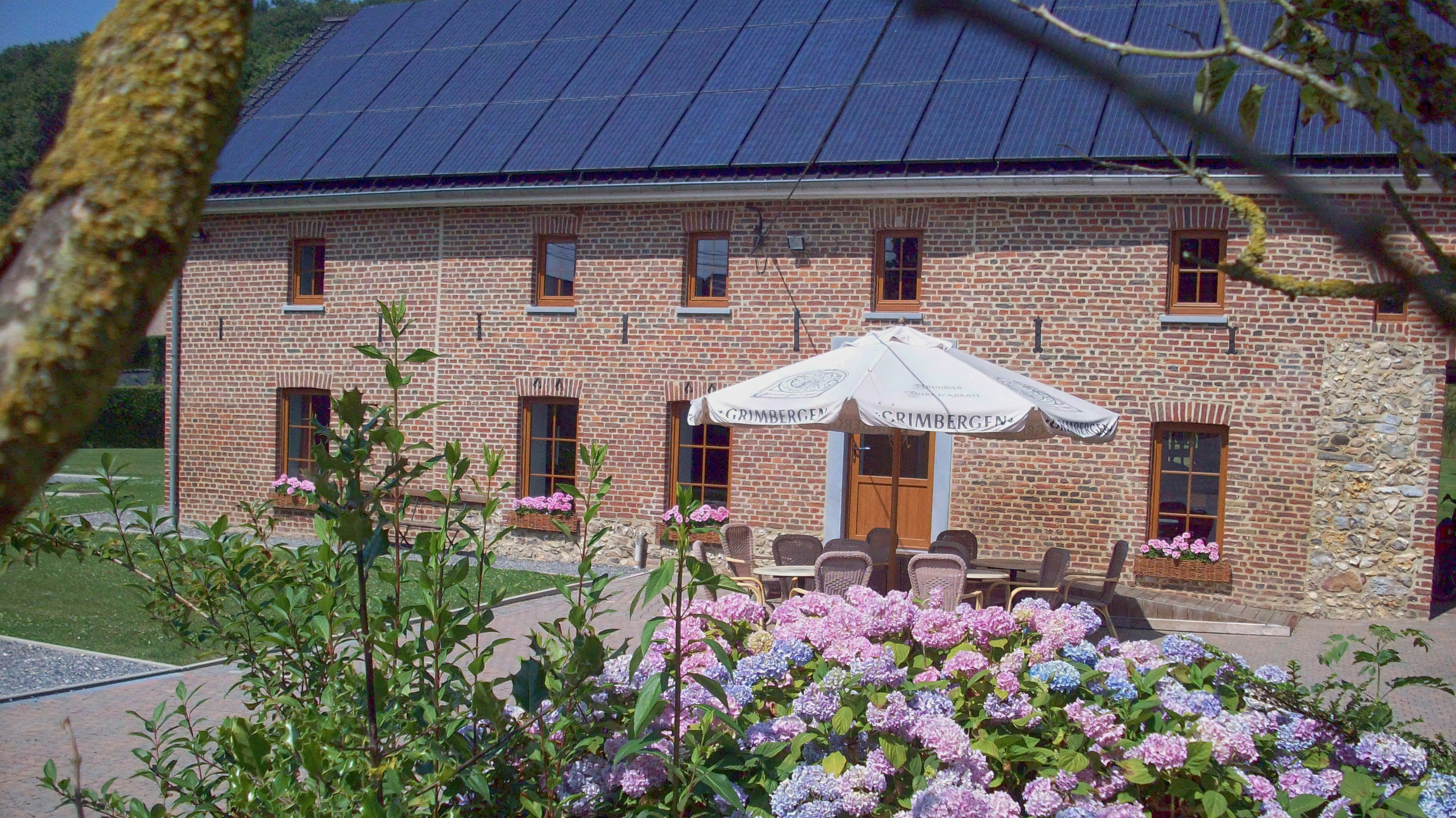 Vorderansicht mit Garten und Blumen von Op gen dêmke