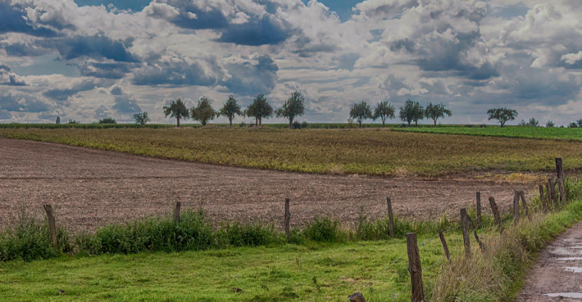 Landscape near Puur Teuven