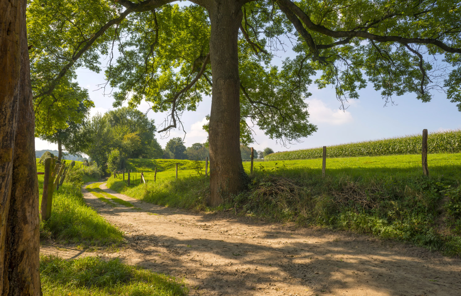 Fietspad van zand door de heuvels