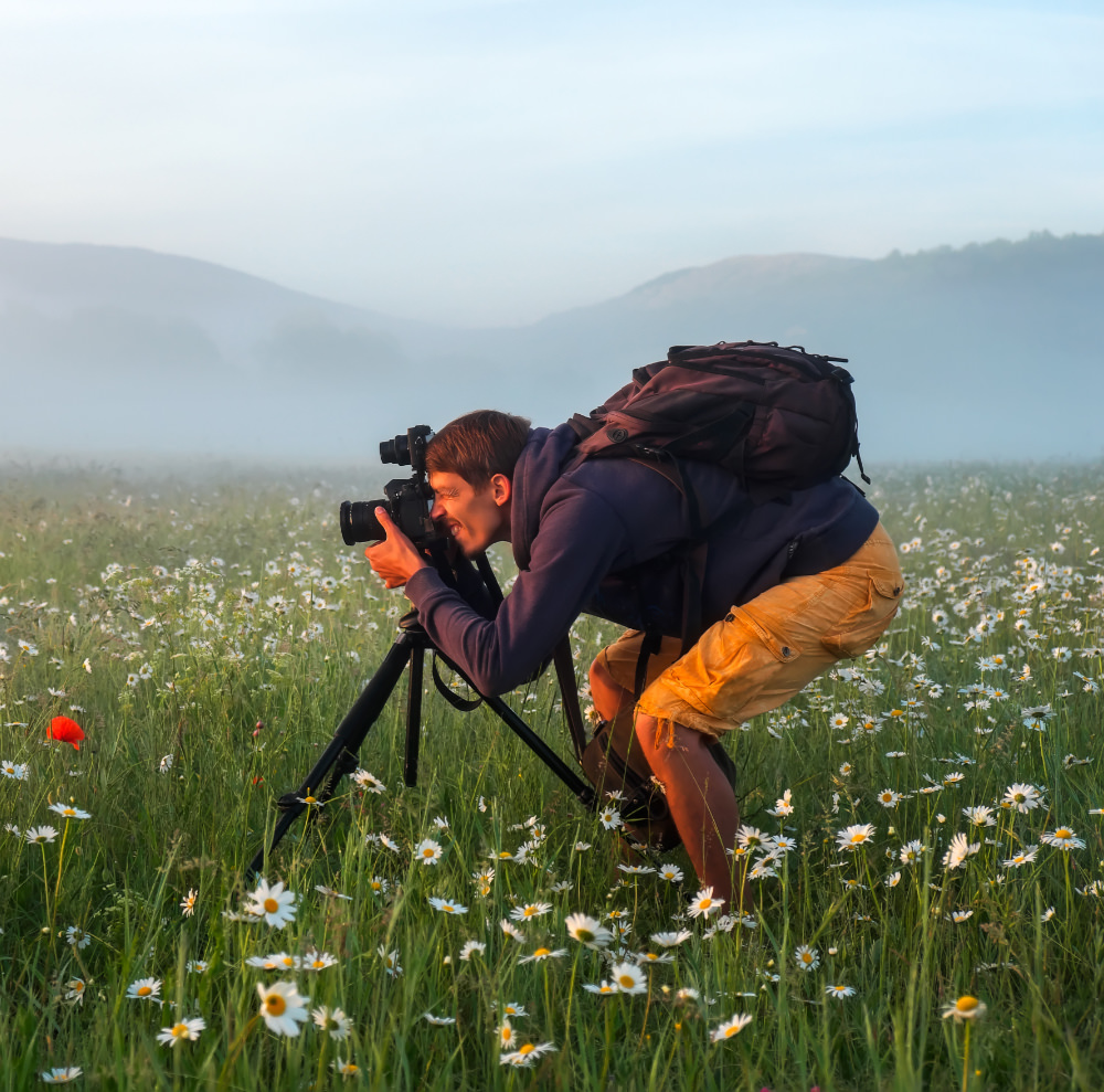 Une photographe prend une photo de cerises dans un arbre