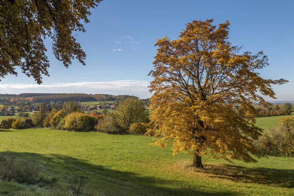 photo Albert Schaart