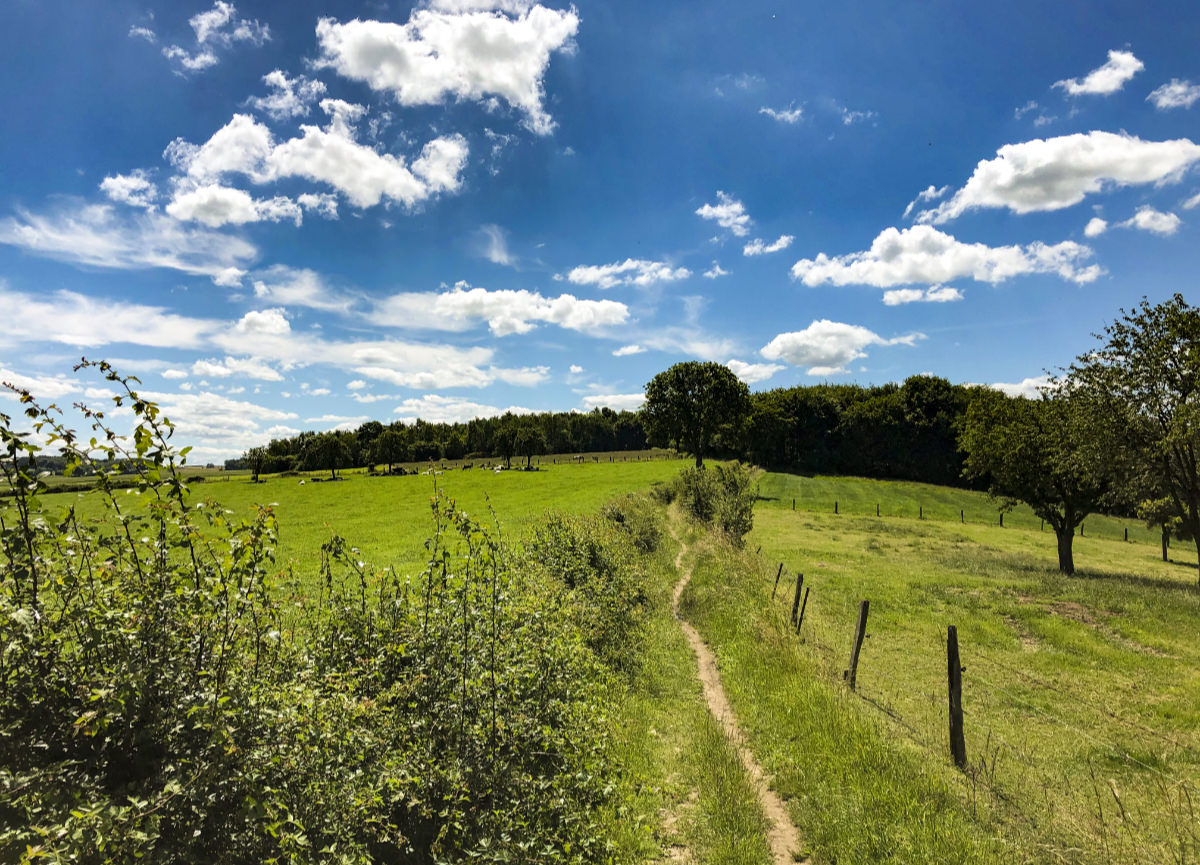 Mooi landschap in het zonnetje van de Belgische Voerstreek